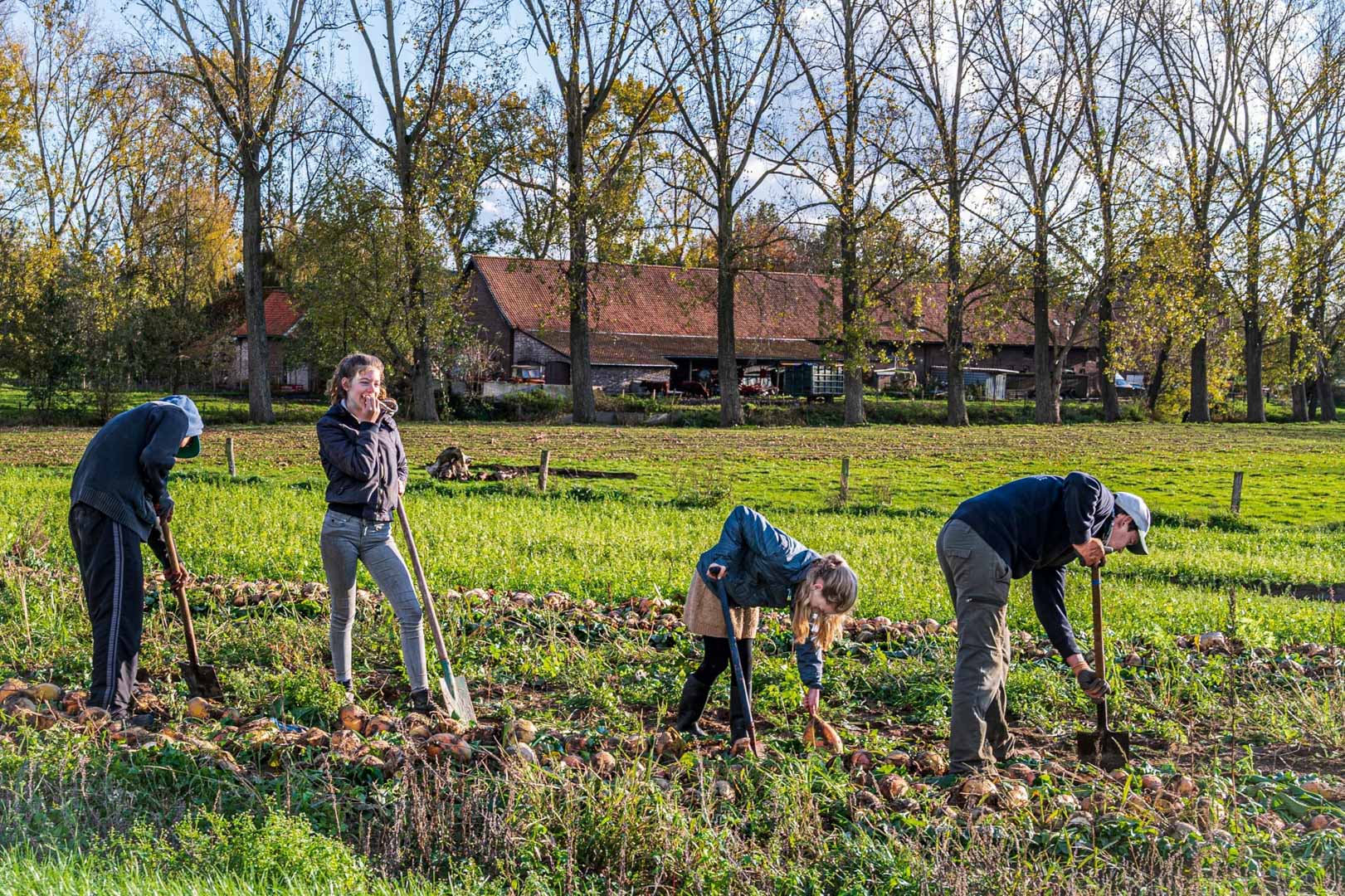 Beschrijving van de afbeelding